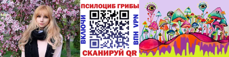 ссылка на мегу вход  Краснослободск  Галлюциногенные грибы мухоморы 